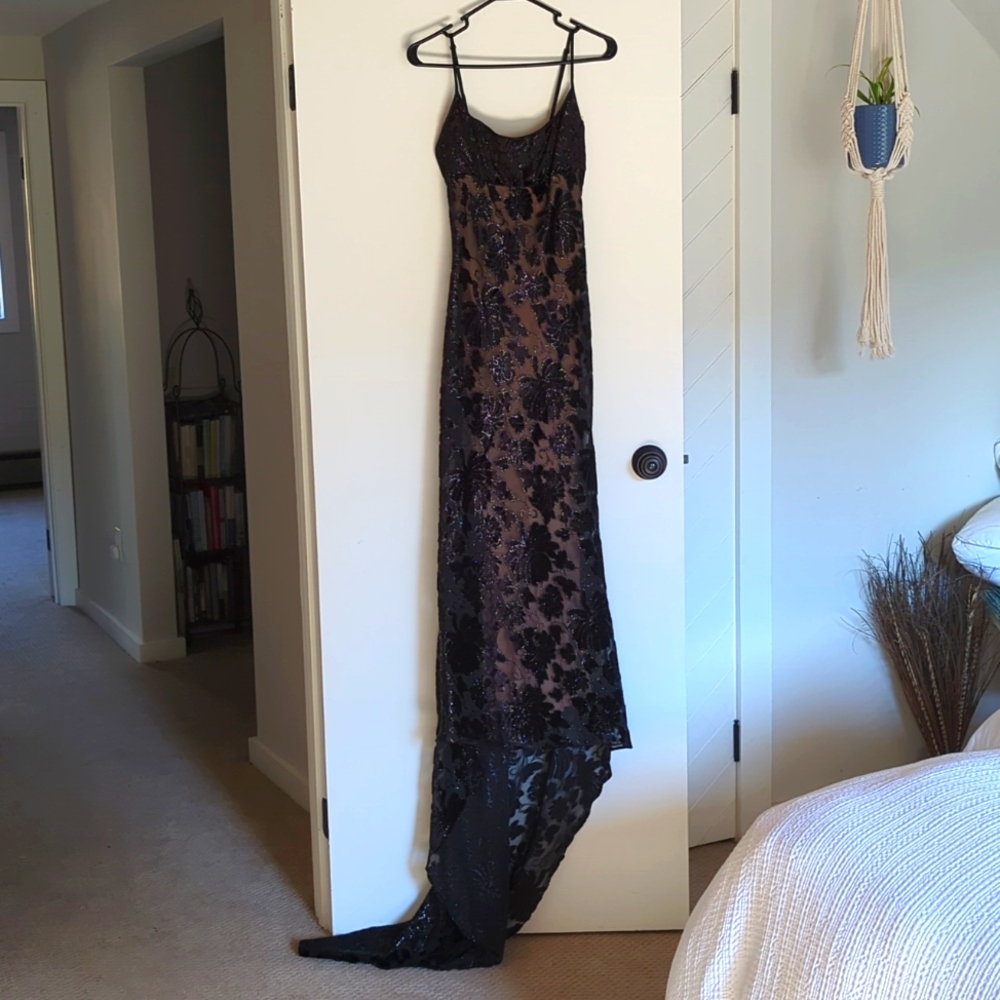 Bestey Johnson Sheer Lace Dress (Small)
